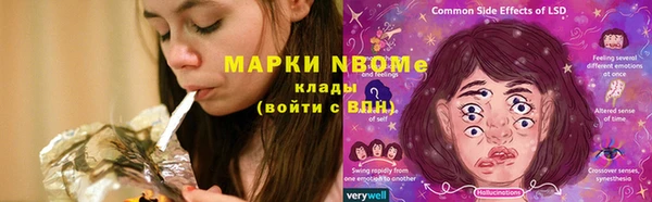 гидропоника Верея