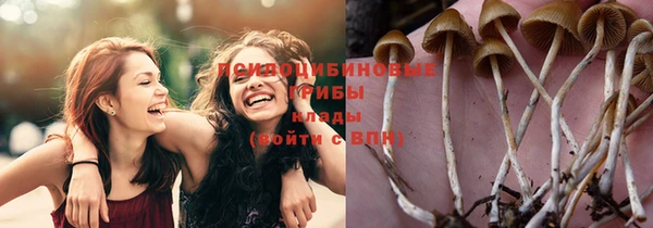 гидропоника Верея